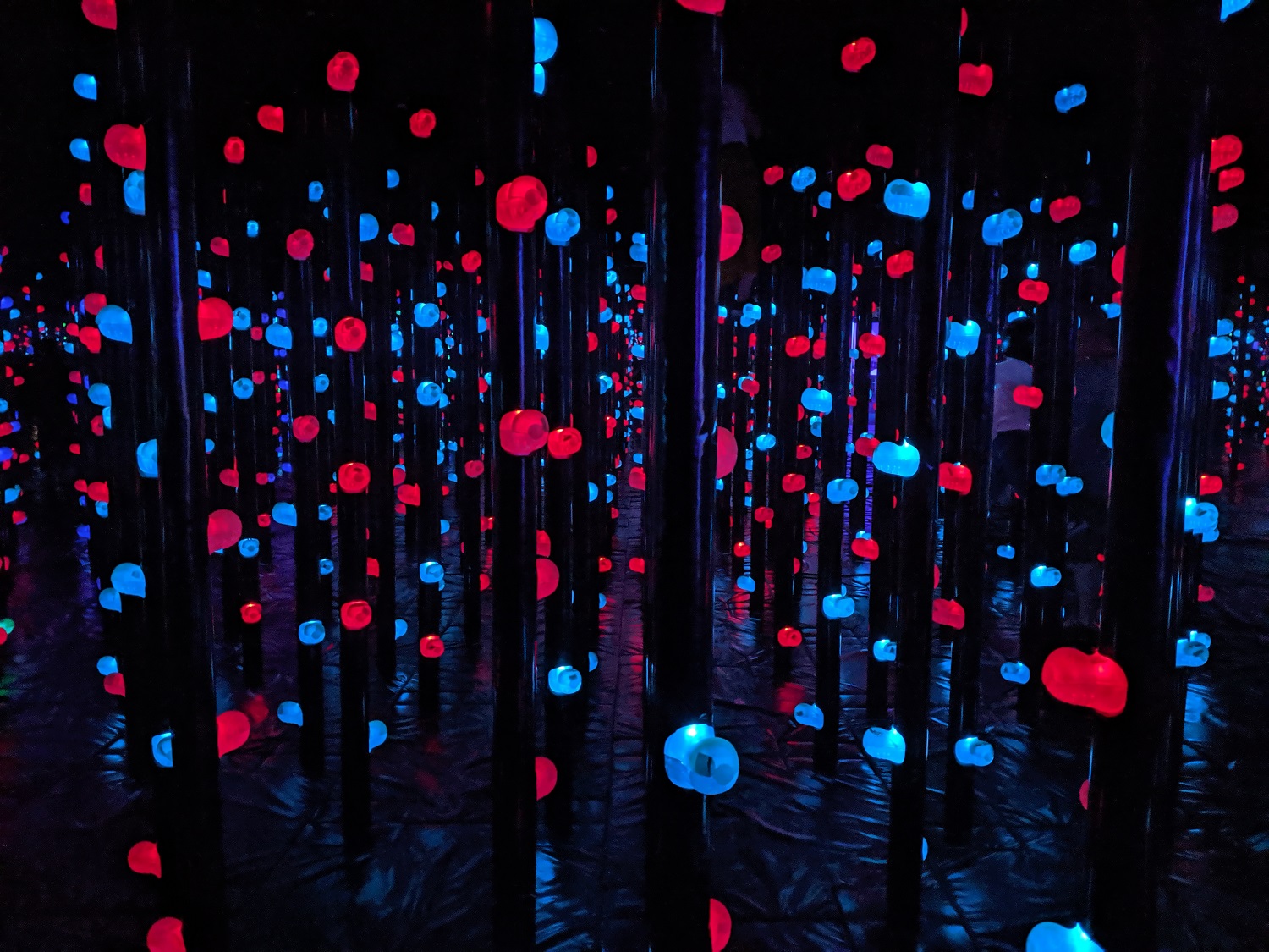 Teamlab Borderless Exhibit at the Mori Building: Tokyo, Japan