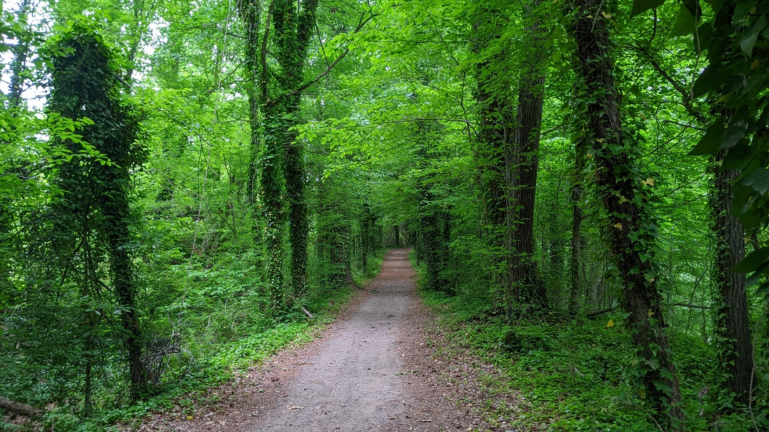 roanoke canal museum & trail