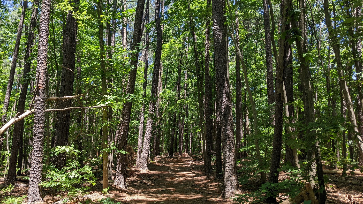 occoquan regional park