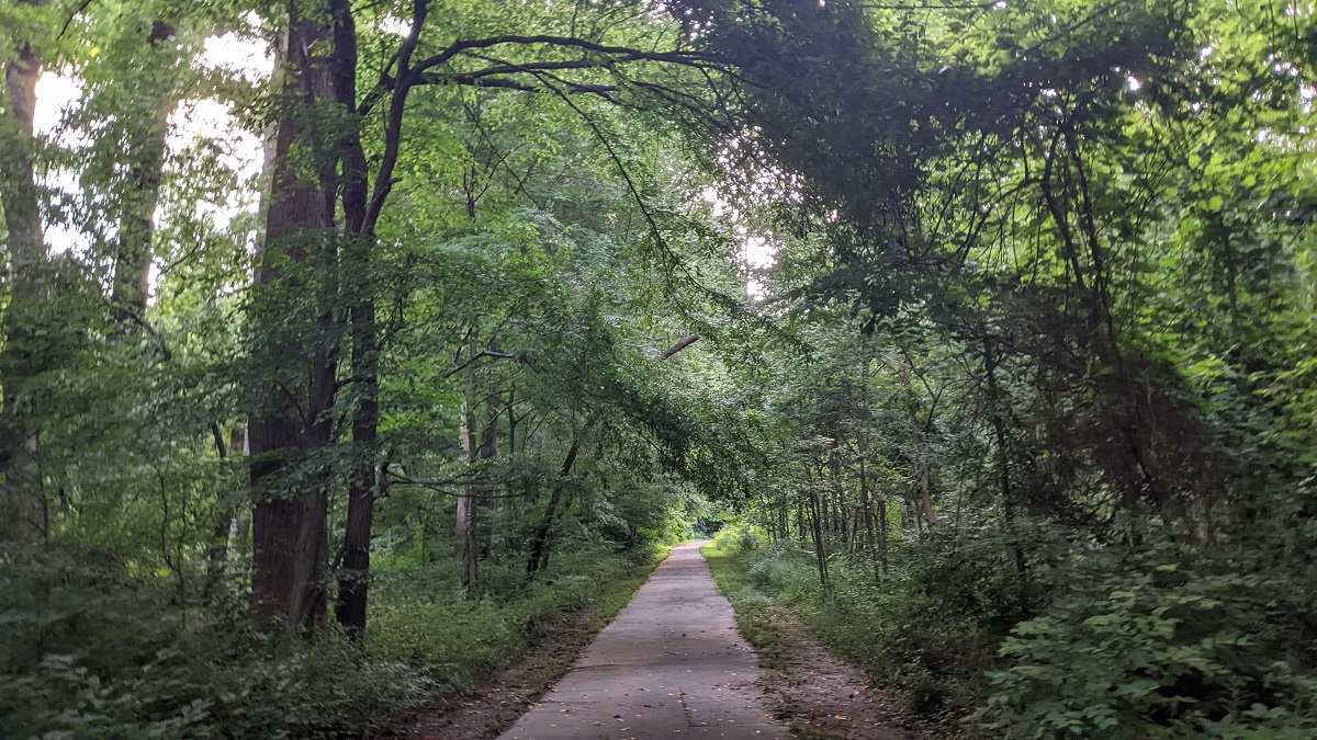 Summer Walk