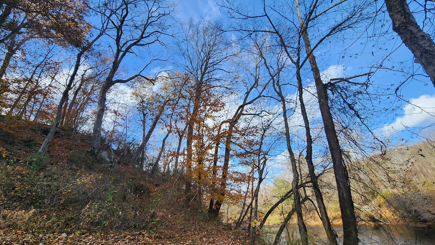 Rappahannock River Campground