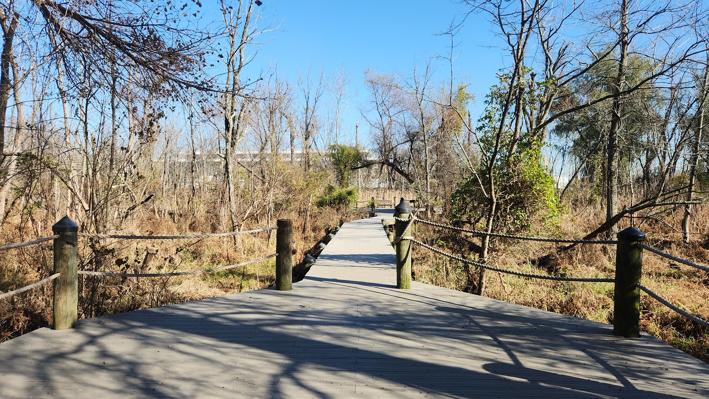 Theodore Roosevelt Island